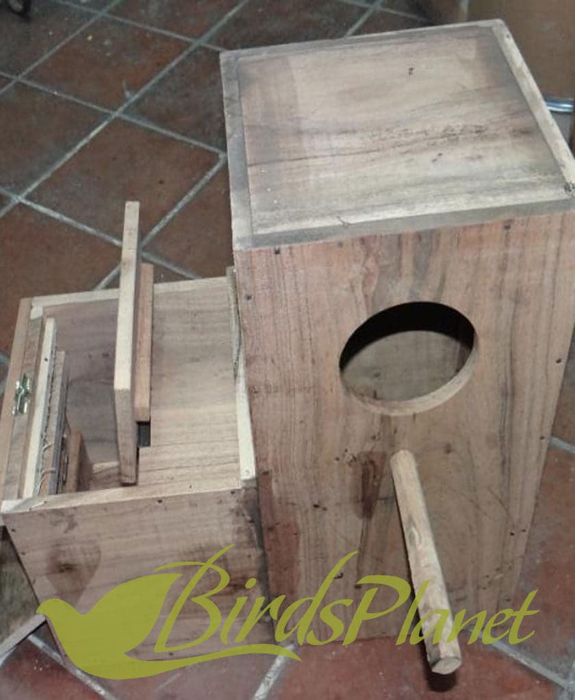 Solid Wood Breeding Box For Amazon / Electus

 Very fine breeding boxes with Concave.

 Size:

 Hight: 22"

 Width: 22"

 Depth: 12"