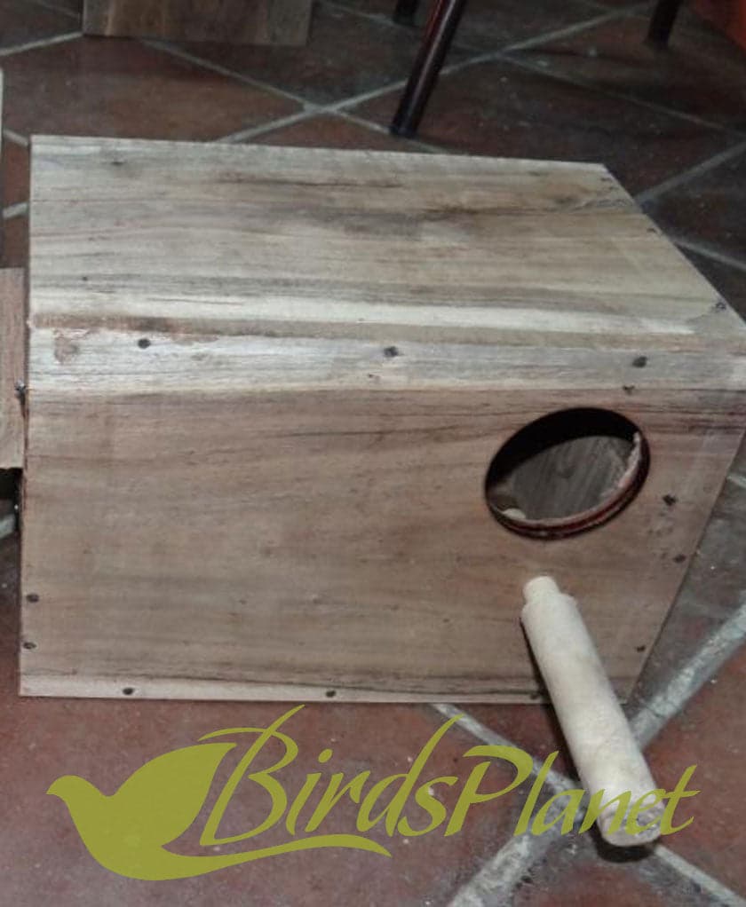 Solid Wood Breeding Box for Love Birds Parrot

 Very fine breeding boxes with Concave.

 Size:

 Hight: 8"

 Width: 11.5"

 Depth: 8"
