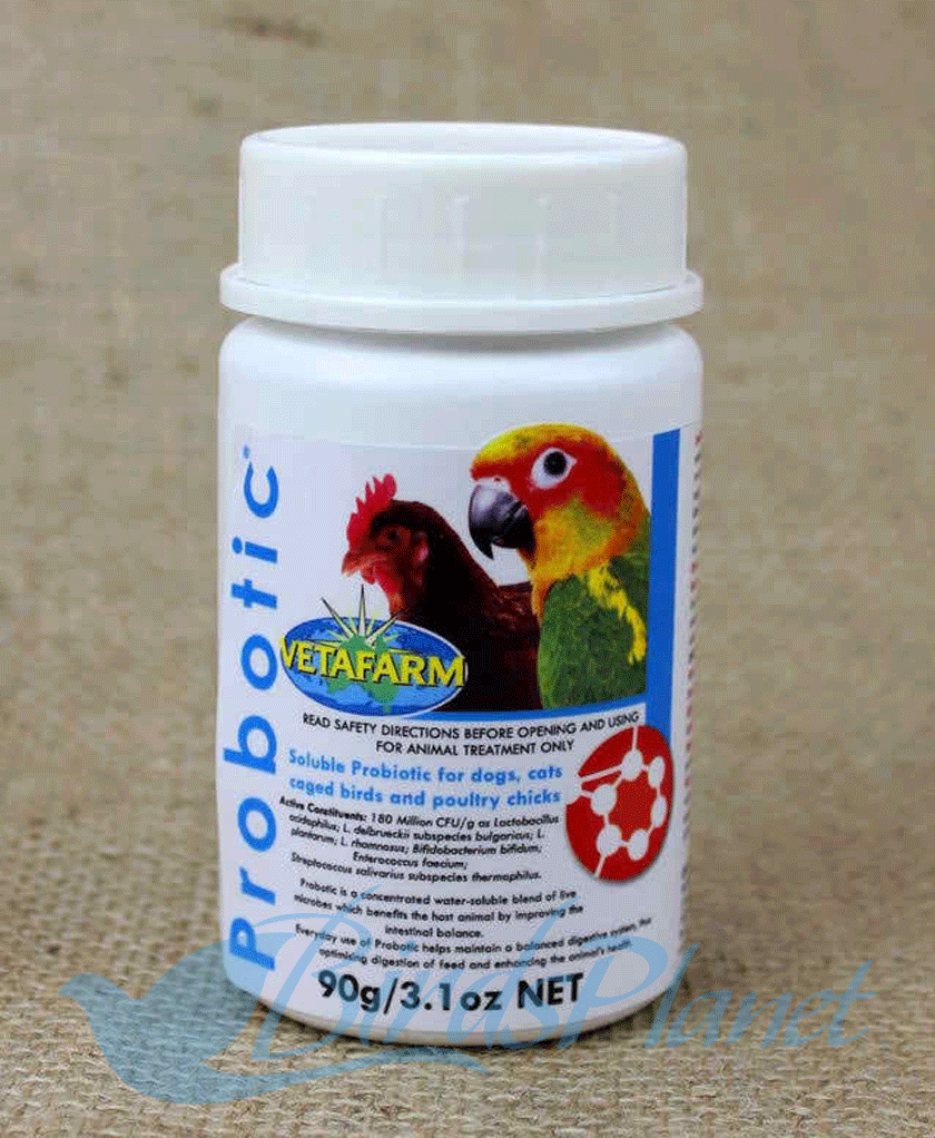 Probiotic (A live microbial feed supplement) 

 Re-establish the natural gut flora after infections, diarrhea, stress, and the use of antibiotics.

 What is a probiotic? A live mic