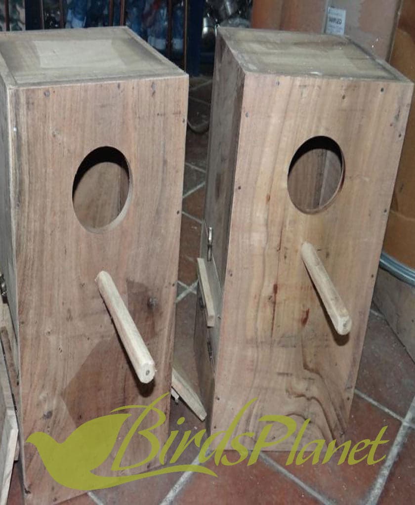 Solid Wood Breeding Box For Raw/phari/Alexandrine Breeding Box

 Very fine breeding boxes with Concave.

 Double Door

 Size:

 Hight: 22"

 Width: 11.5"

 Depth: 11"