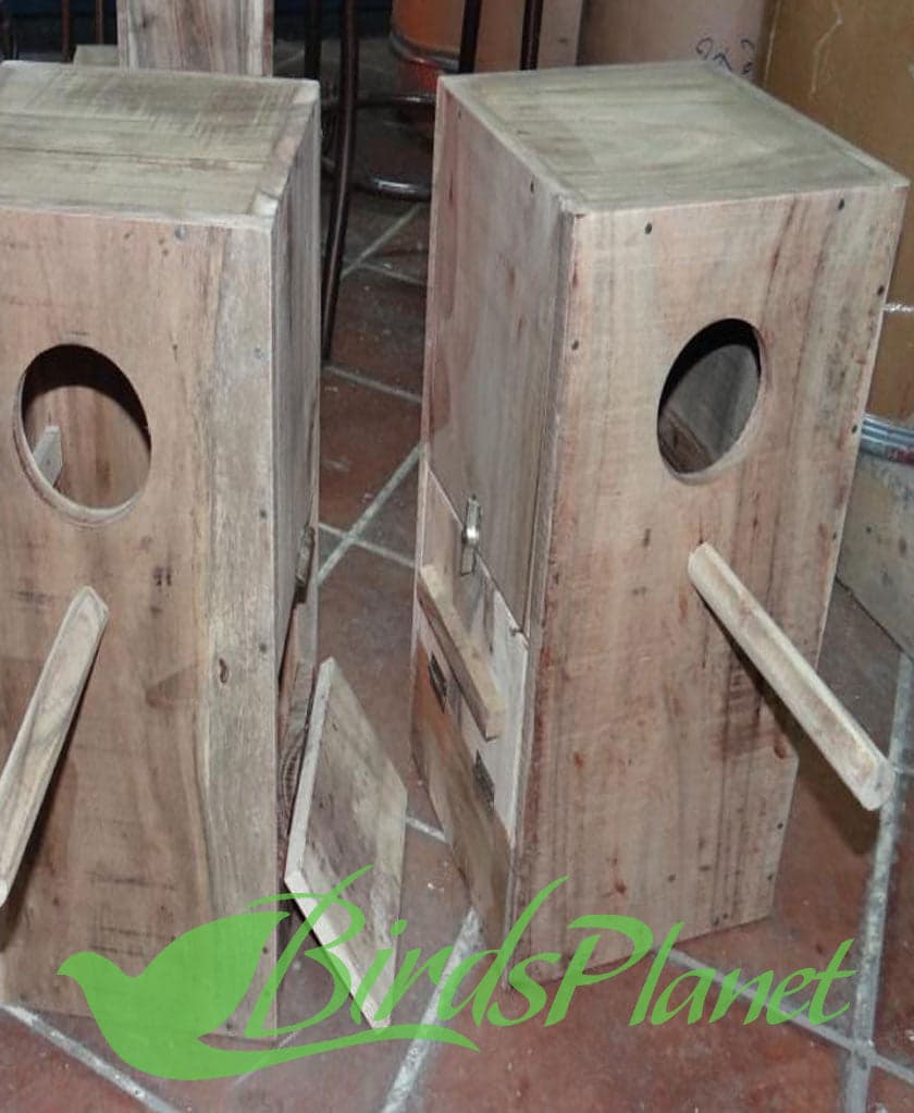 Solid Wood Breeding Box For Ringneck /rosella Breeding Box

 Very fine breeding boxes with Concave.

 Size:

 Hight: 18"

 Width: 10"

 Depth: 10"